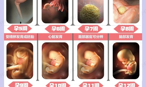 生男生女的表达心情不好网生女儿心情不好知识网站,分享生男孩感慨的表达大全
